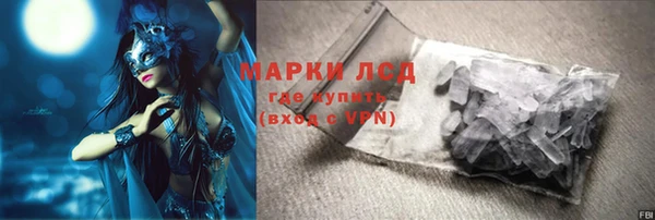 гидра Богородск