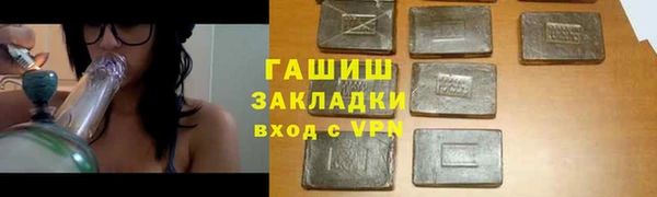 гидра Богородск